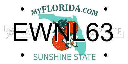 EWNL63 Florida License Plate