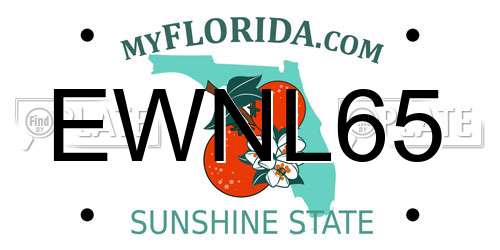 EWNL65 Florida License Plate