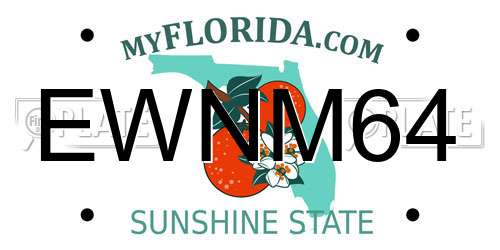 EWNM64 Florida License Plate
