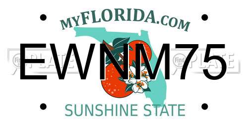 EWNM75 Florida License Plate