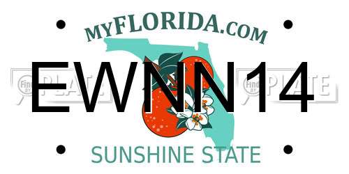 EWNN14 Florida License Plate