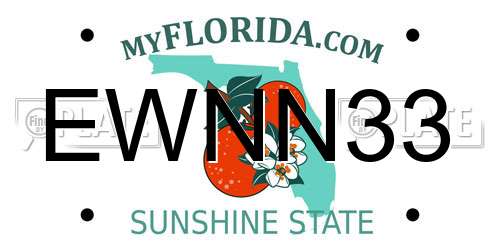 EWNN33 Florida License Plate