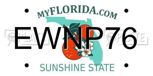 EWNP76 Florida License Plate