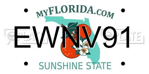 EWNV91 Florida License Plate