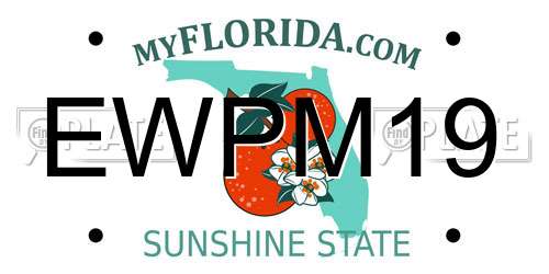 EWPM19 Florida License Plate