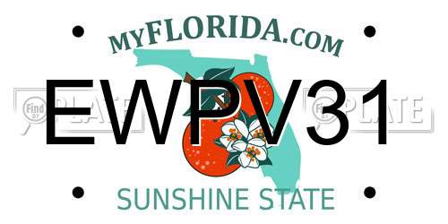 EWPV31 Florida License Plate