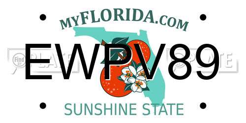 EWPV89 Florida License Plate