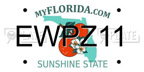 EWPZ11 Florida License Plate