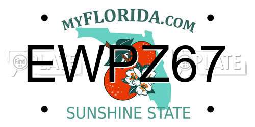 EWPZ67 Florida License Plate