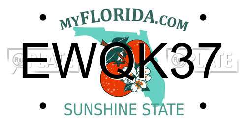 EWQK37 Florida License Plate