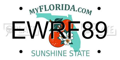 EWRF89 Florida License Plate