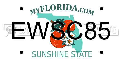 EWSC85 Florida License Plate