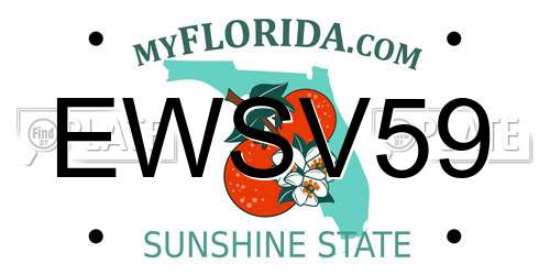 EWSV59 Florida License Plate