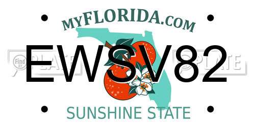 EWSV82 Florida License Plate