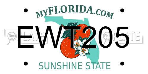 EWT205 Florida License Plate