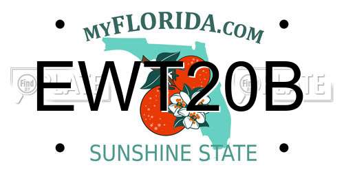 EWT20B Florida License Plate