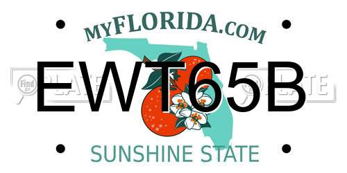 EWT65B Florida License Plate
