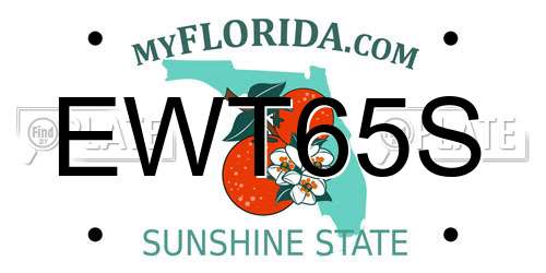 EWT65S Florida License Plate