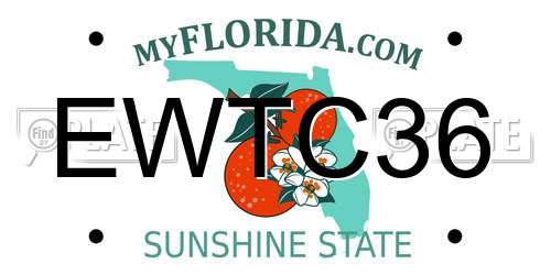 EWTC36 Florida License Plate