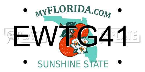 EWTG41 Florida License Plate