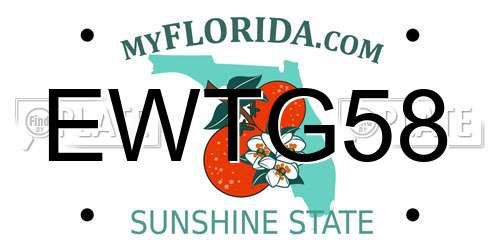 EWTG58 Florida License Plate
