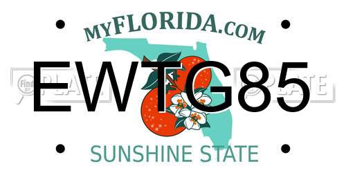 EWTG85 Florida License Plate