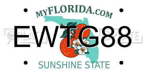 EWTG88 Florida License Plate
