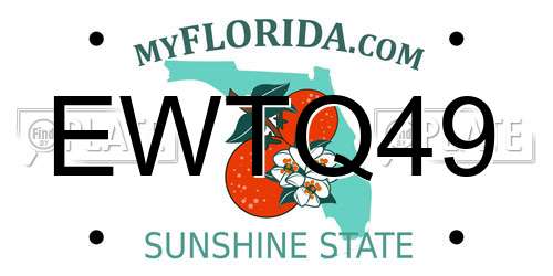 EWTQ49 Florida License Plate
