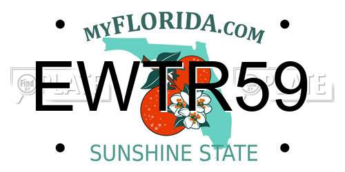 EWTR59 Florida License Plate
