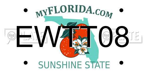 EWTT08 Florida License Plate
