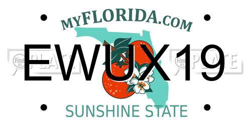 EWUX19 Florida License Plate