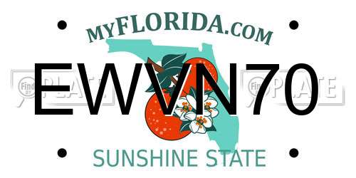 EWVN70 Florida License Plate