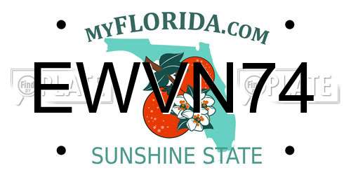 EWVN74 Florida License Plate
