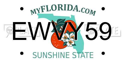 EWVY59 Florida License Plate