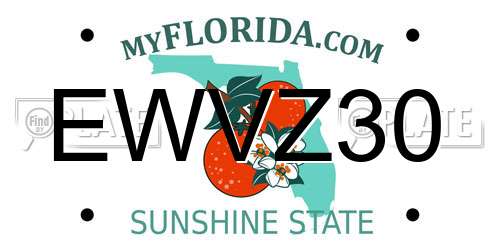 EWVZ30 Florida License Plate