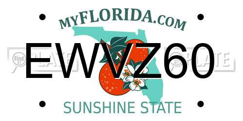 EWVZ60 Florida License Plate