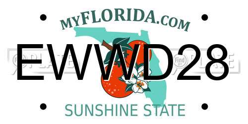 EWWD28 Florida License Plate