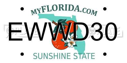 EWWD30 Florida License Plate