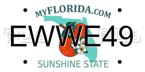 EWWE49 Florida License Plate