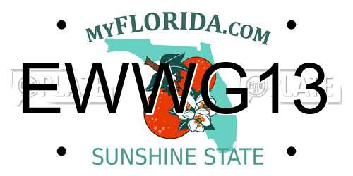 EWWG13 Florida License Plate