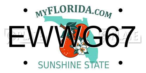 EWWG67 Florida License Plate