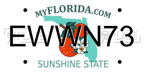 EWWN73 Florida License Plate