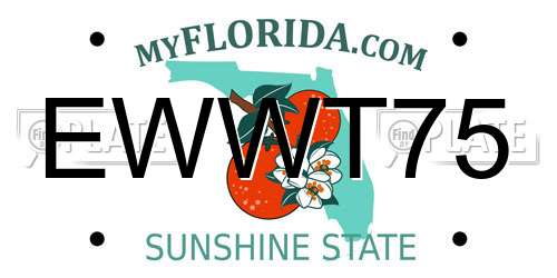 EWWT75 Florida License Plate
