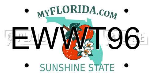 EWWT96 Florida License Plate
