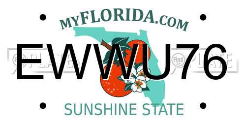 EWWU76 Florida License Plate