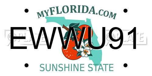 EWWU91 Florida License Plate