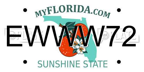 EWWW72 Florida License Plate