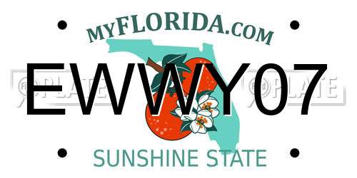 EWWY07 Florida License Plate