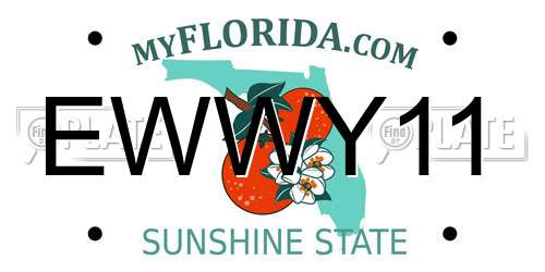 EWWY11 Florida License Plate