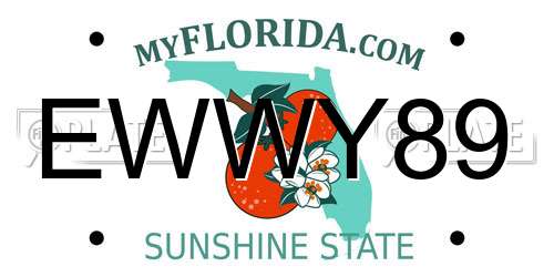 EWWY89 Florida License Plate